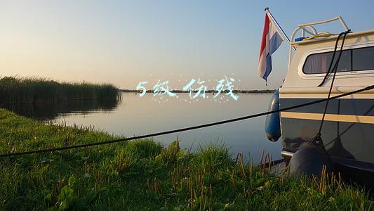 5级伤残