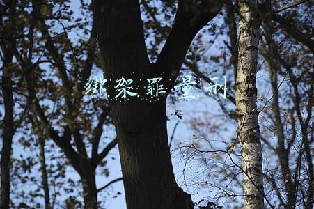 绑架罪量刑