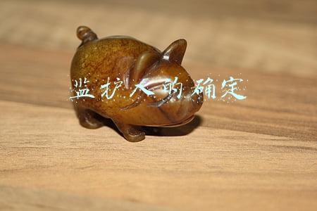 监护人的确定