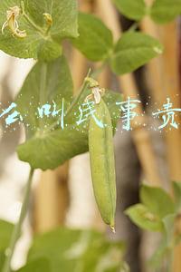 什么叫民事责任和行政责任(2022年公务员考试法律常识题)