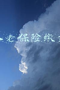 企业养老保险缴费基数