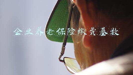 企业养老保险缴费基数