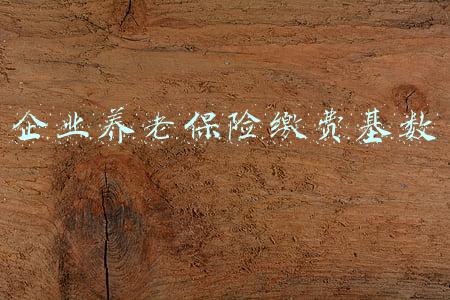 企业养老保险缴费基数