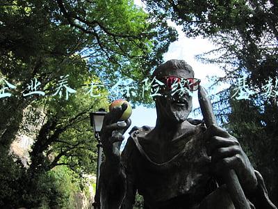 企业养老保险缴费基数