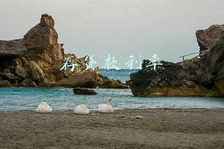 存贷款利率
