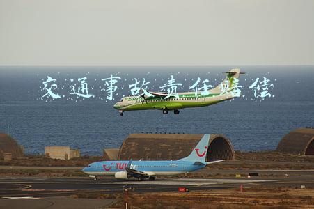 交通事故责任赔偿