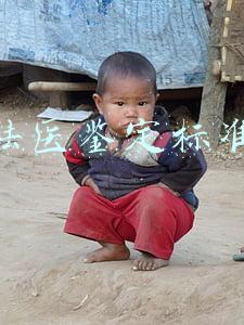 法医鉴定标准