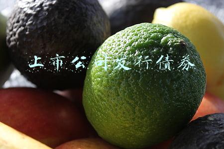 上市公司发行债券
