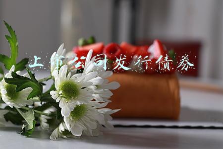 上市公司发行债券