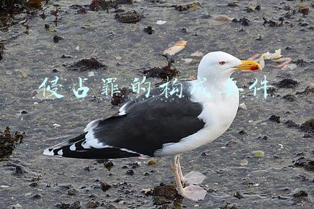 侵占罪构成要件:它的构成要件是什么(民法三大难之三 占有)