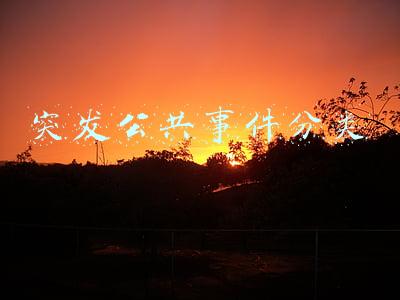 突发公共事件分类