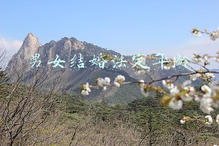 男女结婚法定年龄