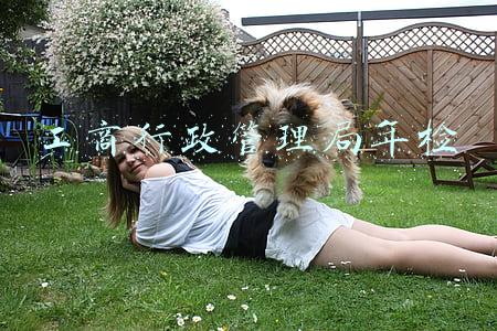 工商行政管理局年检