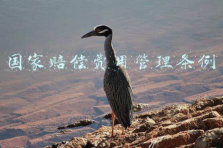 国家赔偿费用管理条例