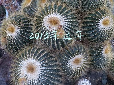 2013年过年