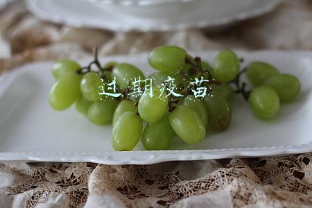 过期疫苗登记表(根河市开展销毁过期疫苗工作)
