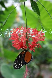 影印件是什么