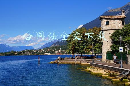 合同法全文下载
