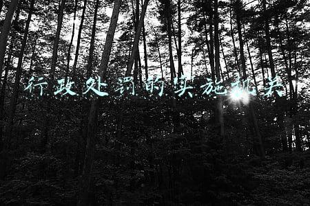 行政处罚的实施机关立案依据实施程序和救济渠道等信息(新规！《住房和城乡建设行政处罚程序规定》)