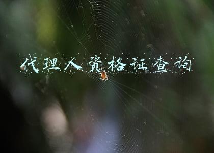 代理人资格证查询