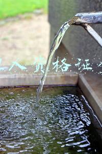 代理人资格证查询