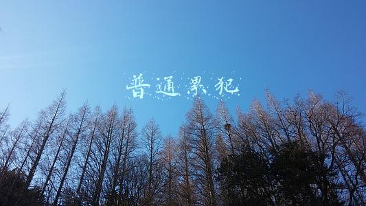 普通累犯