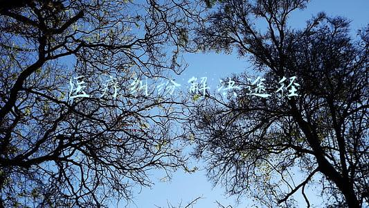 医疗纠纷解决途径程序(医疗纠纷处理流程如何进行？)
