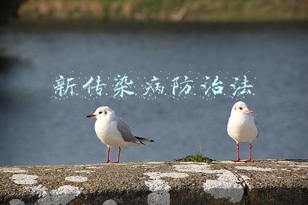 新传染病防治法