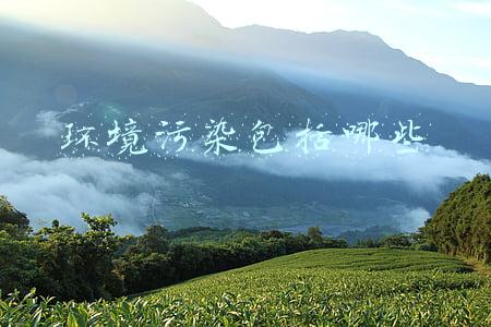 环境污染包括哪些方面?(新污染物破坏生态环境！该如何治理？)