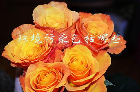 环境污染包括哪些
