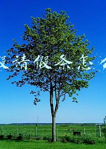 婚假请假条怎么写