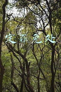 定罪免处
