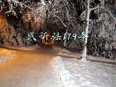 民诉法179条