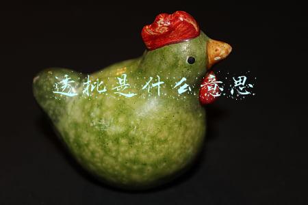 透批是什么意思