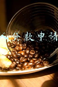 个人贷款申请书