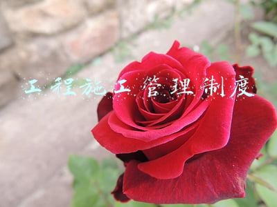 工程施工管理制度