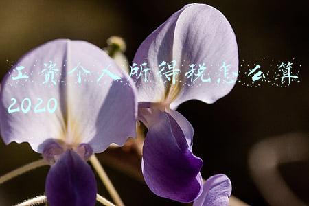 工资个人所得税怎么算2020