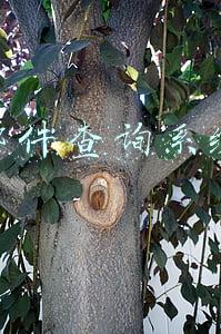 邮件查询系统