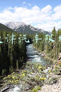 天津汽车限购令(天津小客车限购限行政策细则来了！)