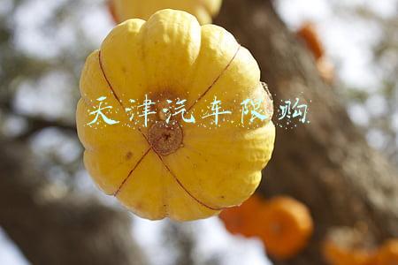 天津汽车限购