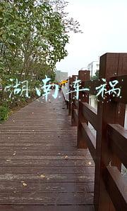 湖南车祸