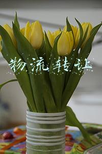 物流转让
