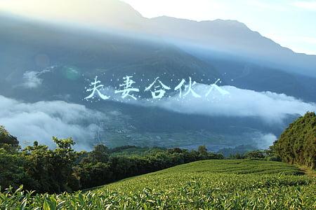 夫妻合伙人