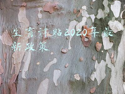 生育津贴2020年最新政策