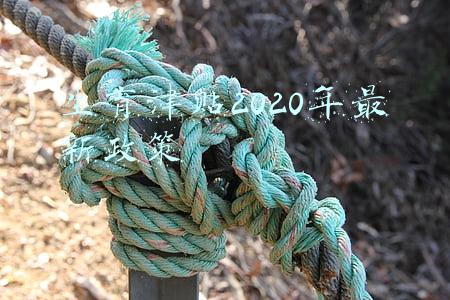 生育津贴2020年最新政策