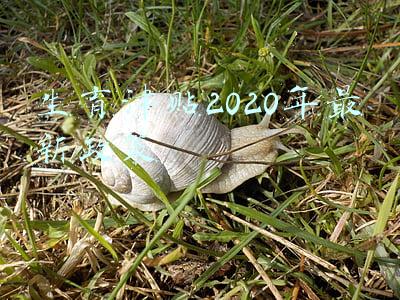 生育津贴2020年最新政策一般多久可以下来(2020年广州生育津贴新政策：怎么算、怎么领、领取条件)