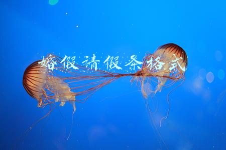 婚假请假条格式