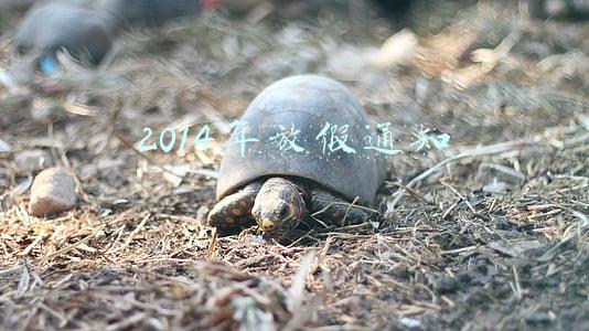 2015年放假(除夕属调休日 上班只能拿双薪)