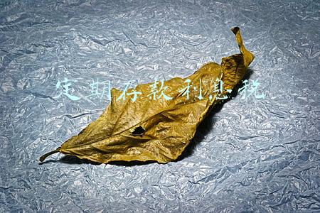 定期存款利息税
