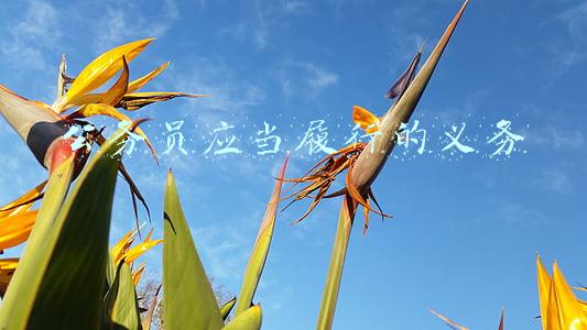 公务员应当履行的义务